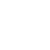 Legal Expert